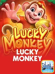 Diversidade de jogos em plataforma de cassino online